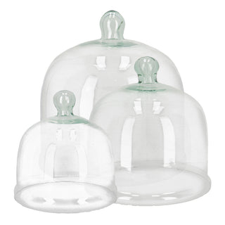 Cloche di coltivazione in vetro
