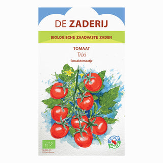 Pomodoro 'Trixi'