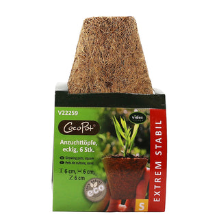 Vasetti in cocco 6x6cm quadrati (6)