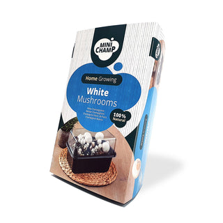 Champignon bianchi BIO