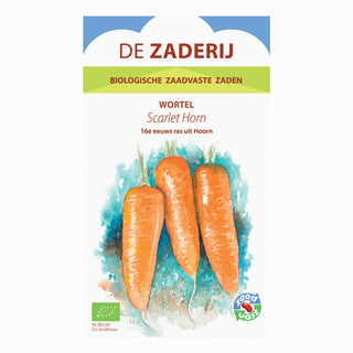 Carota 'Scarlet Horn'