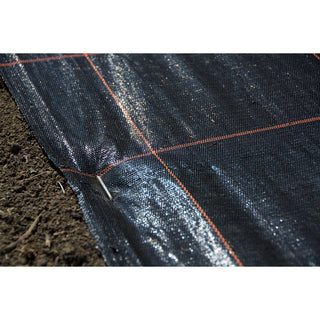 Grondpennen Staal (50) Agrimpex