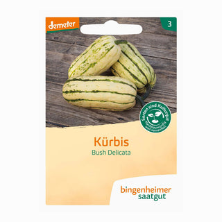 Zucca 'Bush Delicata'