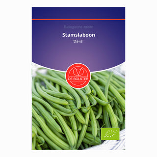 Fagiolino nano 'Davis'