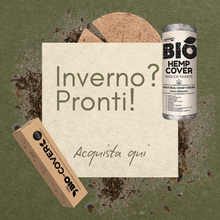 Promo IT 3