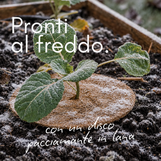 Promo IT 4