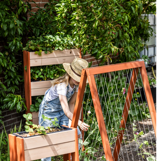 Giardino verticale M