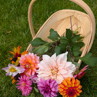 Trug in legno L