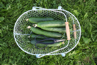 Cesoie da giardino Artisan