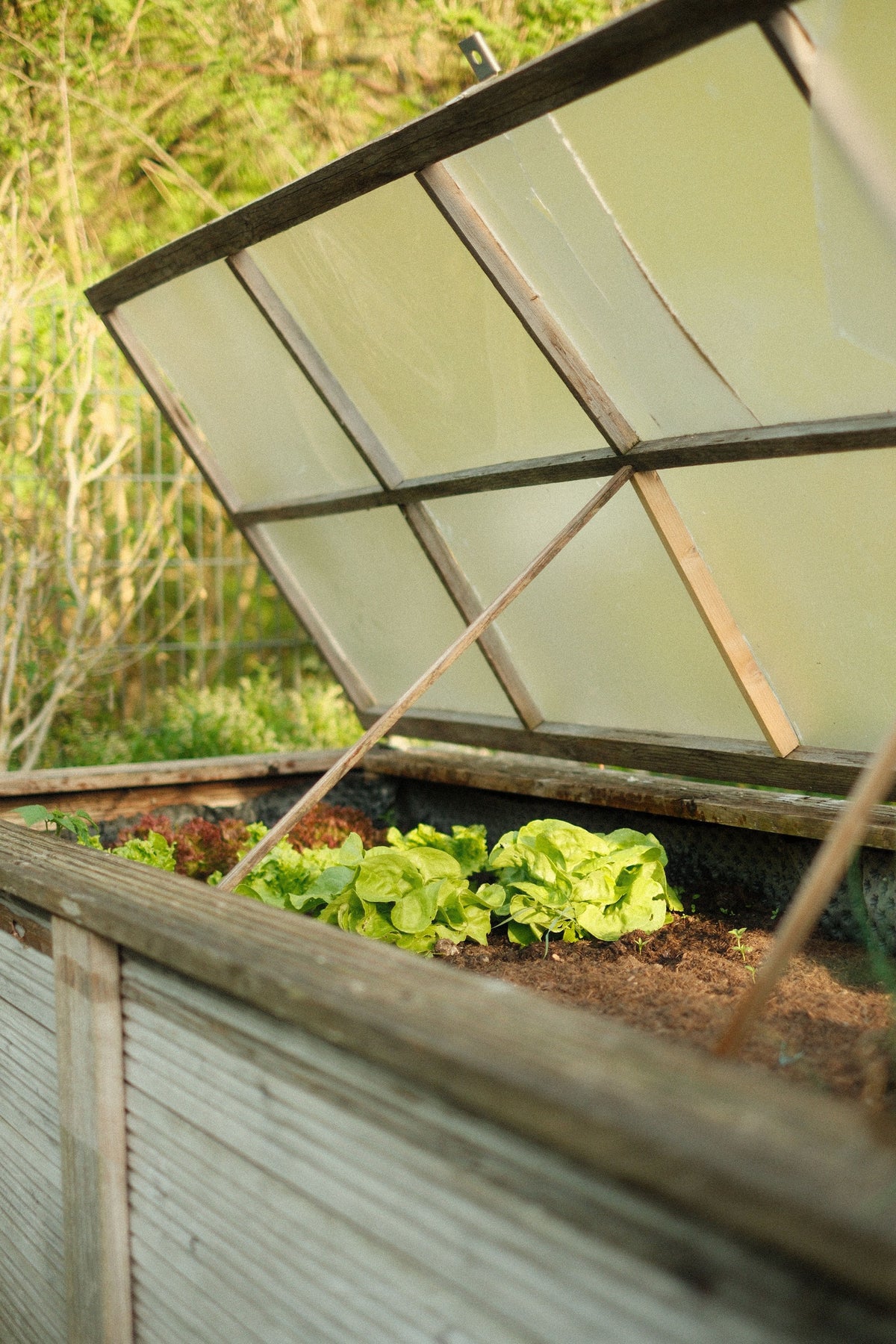 Koude bak als compacte moestuinbak