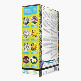 Friendly Flowers XL Api Basso 50m²