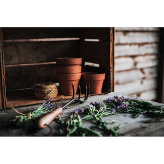 Barebones Cultivator