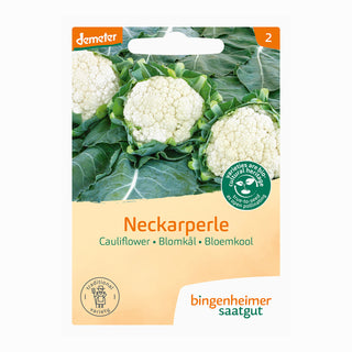 Bingenheimer Saatgut Bloemkool Neckarperle
