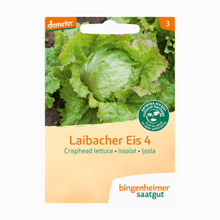 Bingenheimer Saatgut Ijsbergsla Laibacher Eis 4