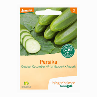 Bingenheimer Saatgut Komkommer Persika