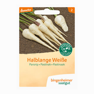 Bingenheimer Saatgut Pastinaak Halflange Witte