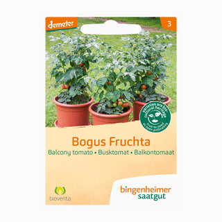 Bingenheimer Saatgut Tomaat Bogus Fruchta