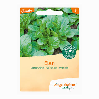 Bingenheimer Saatgut Veldsla Elan