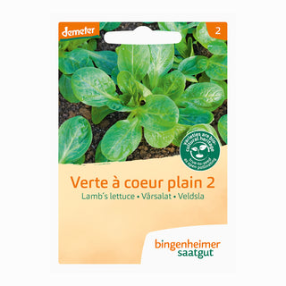 Veldsla Verte à Coeur Plain 2