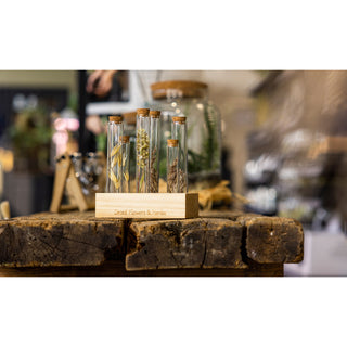 Tubetti per fiori ed erbe aromatiche in legno L