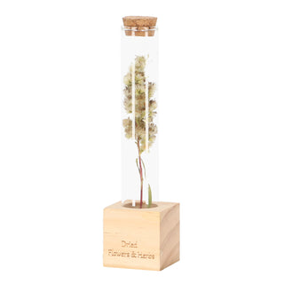 Tubetti per fiori ed erbe aromatiche in legno S