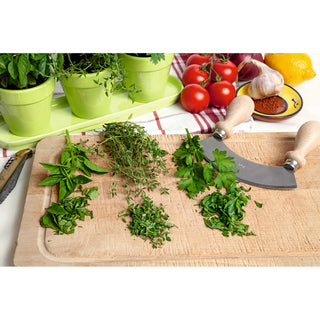 Buzzy Bio Keukenkruiden Set Groen