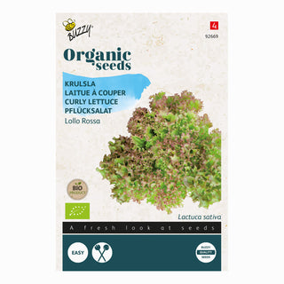 Buzzy Organic Krulsla Lollo rossa 92669