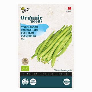 Buzzy Organic Stamslabonen Maxi 93150