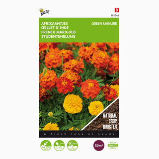 Buzzy Organic Tagetes Bonita 50g 881545