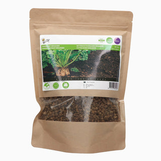 Buzzy Organic Voederbiet Brigadier 250g 881503