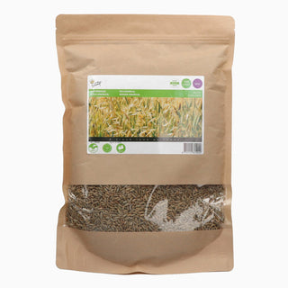 Buzzy Organic Winterrogge 1kg 881524