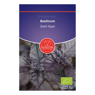 De Bolster Basilicum 'Dark Opal' 3030