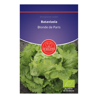 De Bolster Bataviasla 'Blonde de Paris' 1840