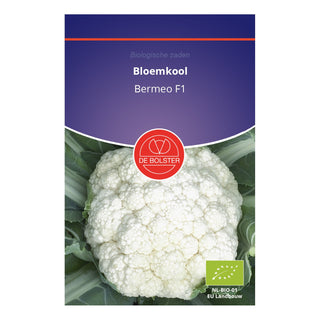 De Bolster Bloemkool 'Bermeo F1' 1441