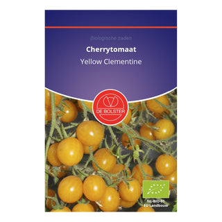 De Bolster Cherrytomaat 'Yellow Clementine' 1972