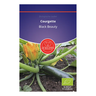 De Bolster Courgette 'Black Beauty' 1352