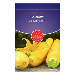 De Bolster Courgette 'Ola Gabriella F1' 1355