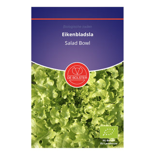 De Bolster Eikenbladsla 'Salad Bowl' 1833