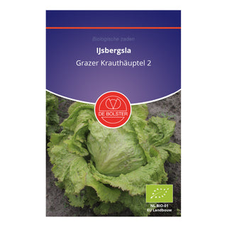 De Bolster IJsbergsla 'Grazer Krauthäuptel 2'