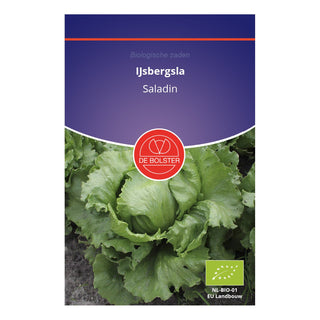 De Bolster IJsbergsla 'Saladin' 1850