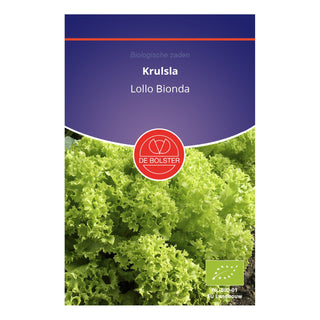 De Bolster Krulsla 'Lollo Bionda' 1836
