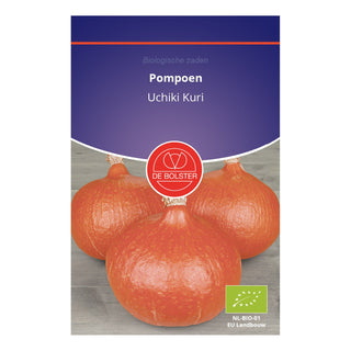 De Bolster Pompoen 'Uchiki Kuri' 1669