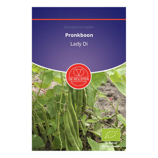 De Bolster Pronkboon 'Lady Di' 1205