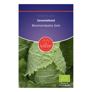 De Bolster Savooiekool 'Bloemendaalse Gele' 1530