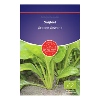 De Bolster Snijbiet 'Groene Gewone' 1890