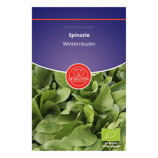 De Bolster Spinazie 'Winterreuzen' 1935