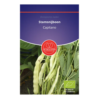 De Bolster Stamsnijboon 'Capitano' 1215
