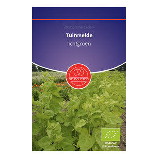 De Bolster Tuinmelde - lichtgroen