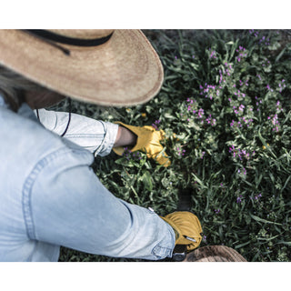 Barebones Klassieke Werkhandschoen Olijf