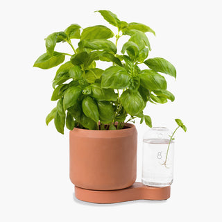 Greenfinity Terracotta Kweekstation